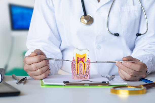 Best Emergency Root Canal Therapy in Lely, FL